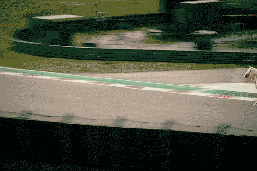 gif of horse walking faster than F1 car